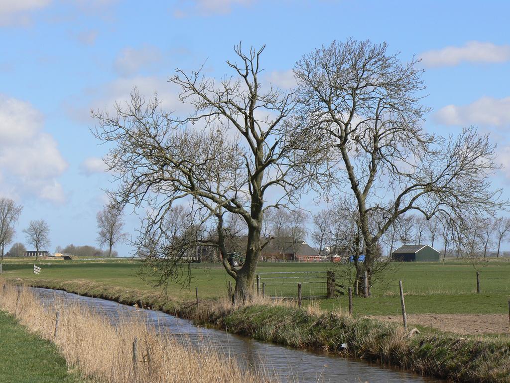 Groningen Buiten B&B Zuidhorn Eksteriør billede